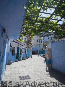 Trekking Marruecos-Viajes Marruecos-Senderismo-Chaouen