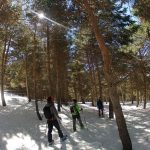 Senderismo-Raquetas de Nieve-Veleta-Mulhacen